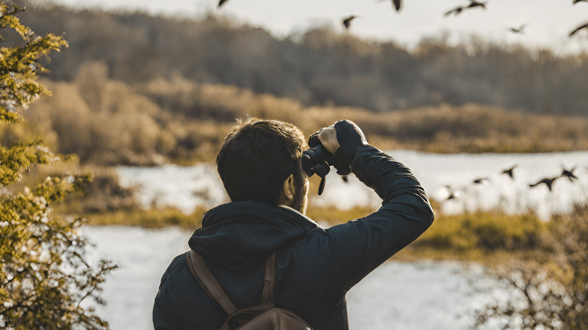 Fågelskådarens Guide till Kikare: Upptäck Världen med Kikare 100x22 - Dossify