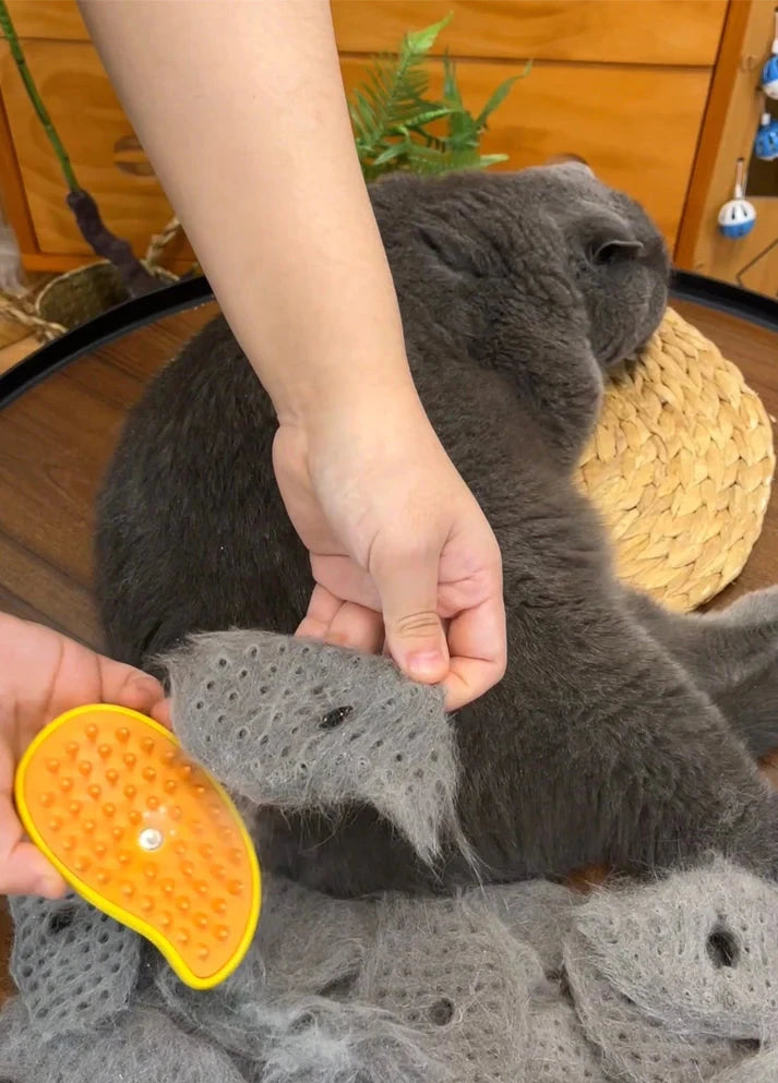 Ångborste för katter - Dossify