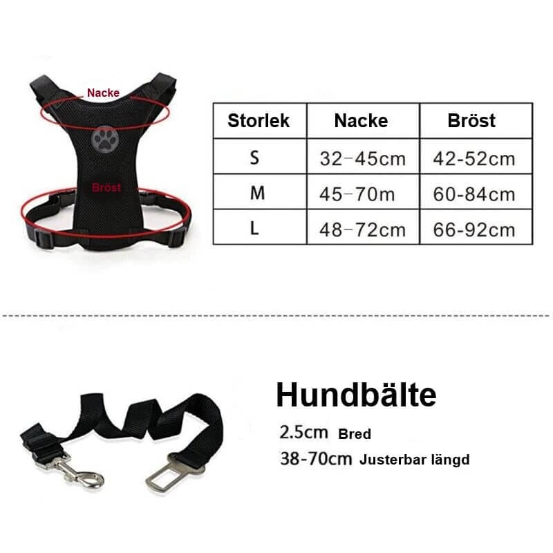 Bilsele + Hundbälte - Dossify