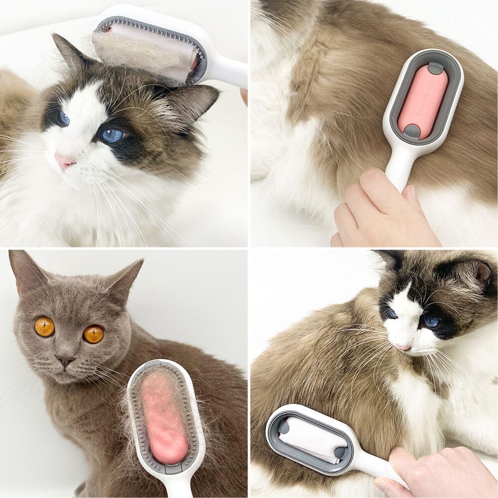 Blötborsten - Borsta din katt i trygghet! - Dossify