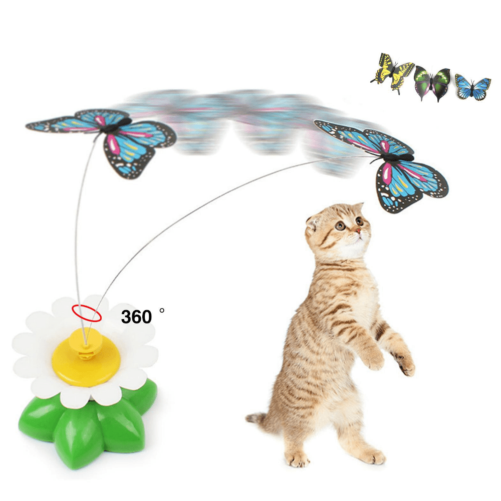 Butterfly Cat Teaser™ - Dossify