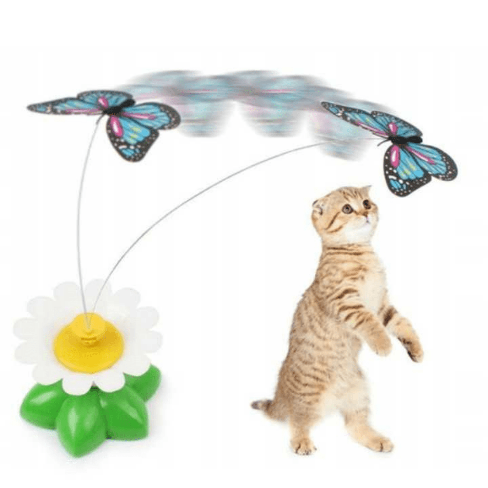 Butterfly Cat Teaser™ - Dossify