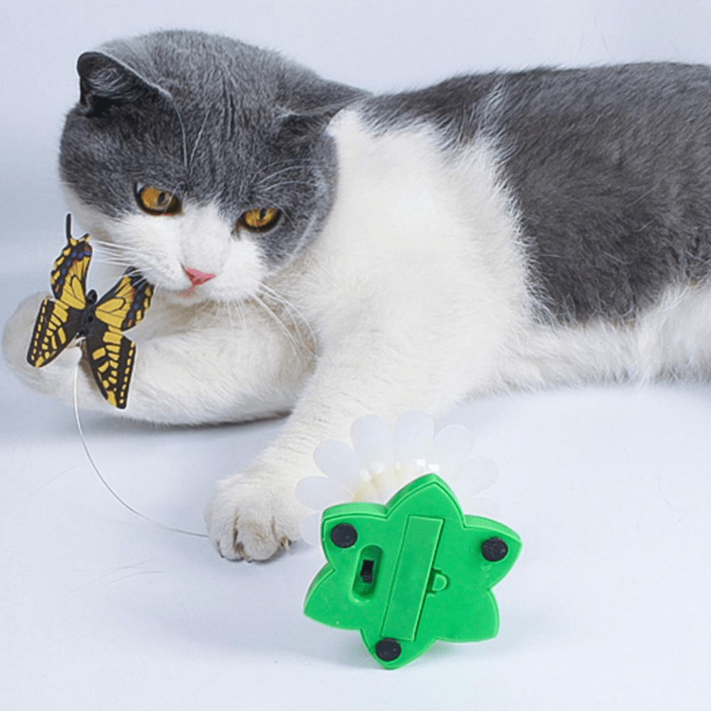 Butterfly Cat Teaser™ - Dossify