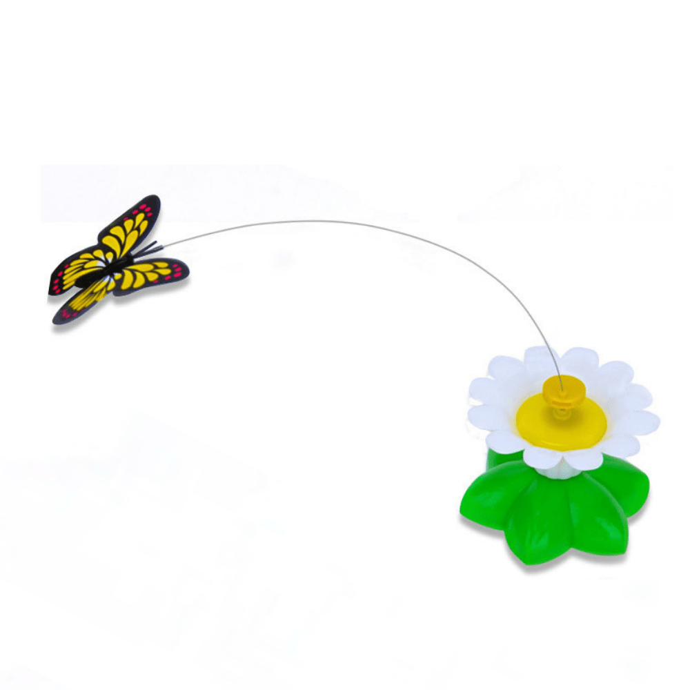 Butterfly Cat Teaser™ - Dossify