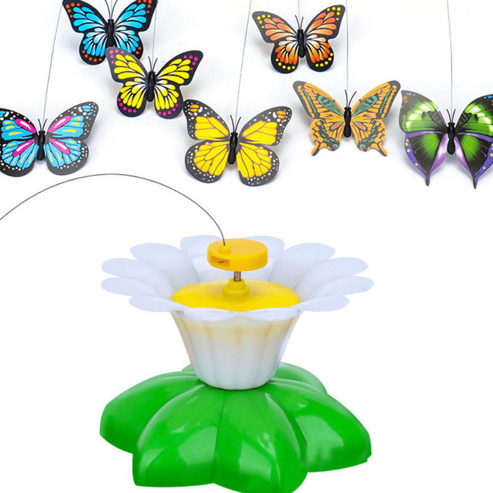 Butterfly Cat Teaser™ - Dossify
