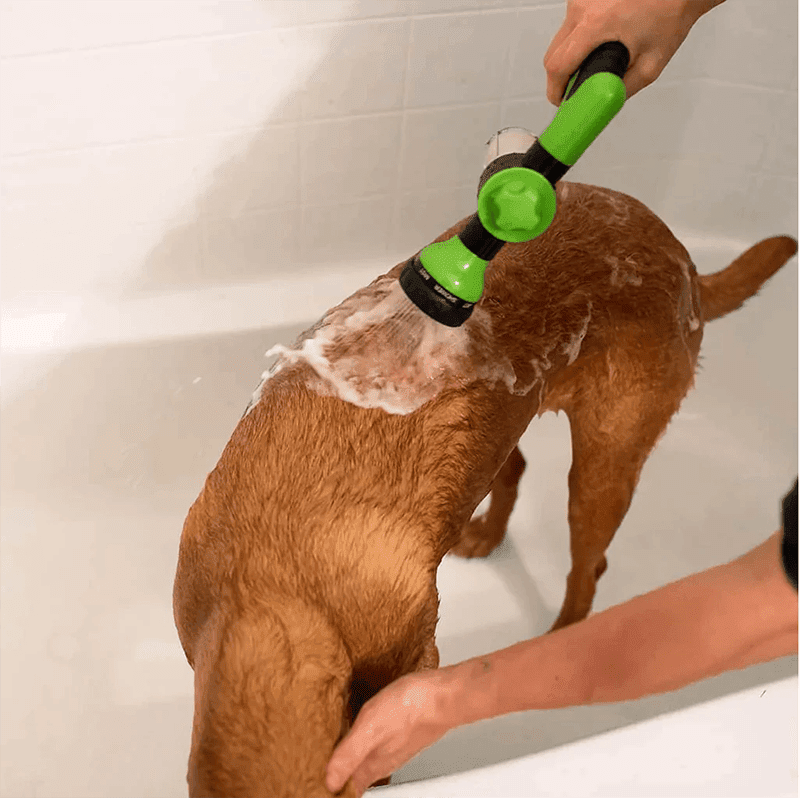 CLEANDOG Skummande Hydro Jet - Hunddusch - Dossify