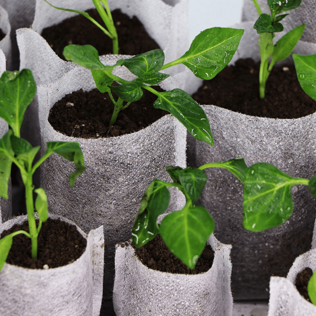 Fiberduk Plant-påsar - Dossify