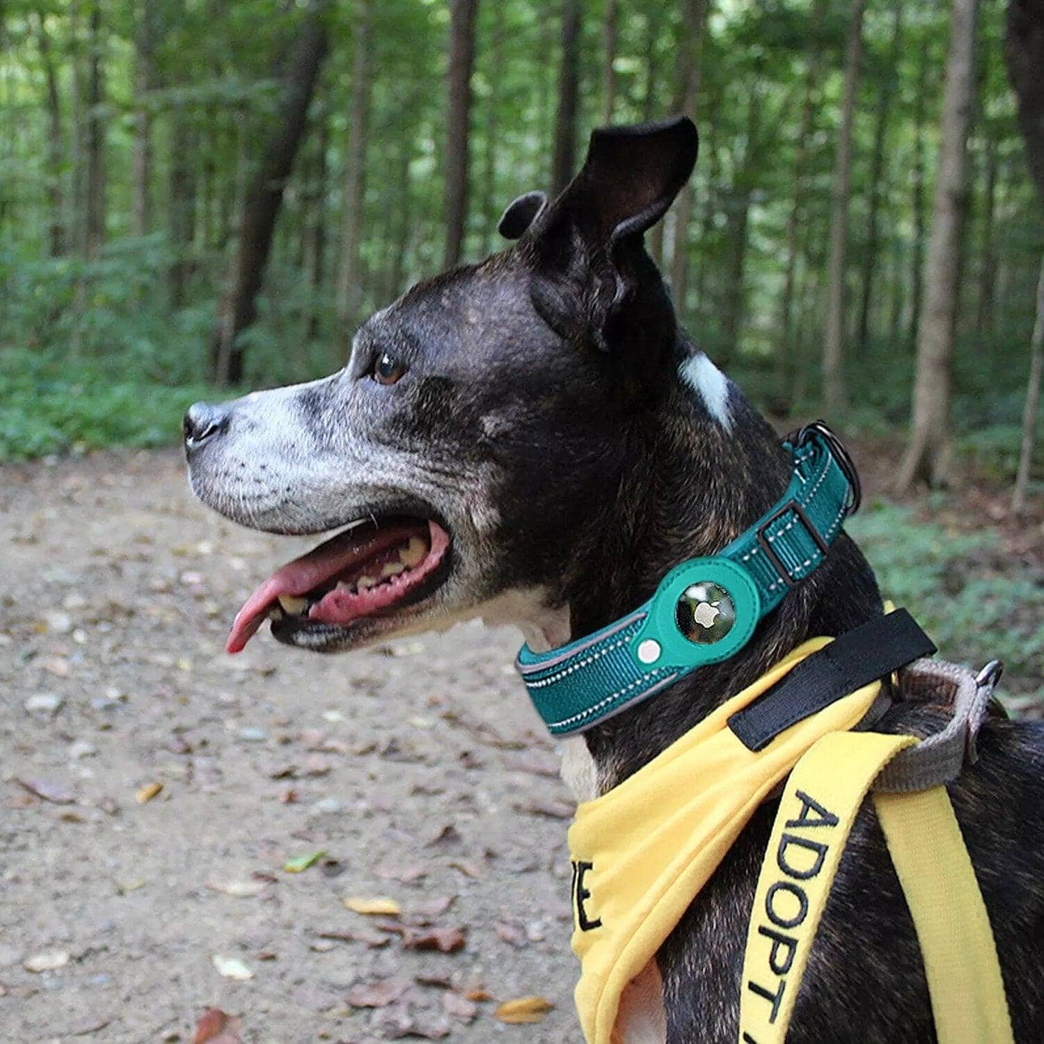 FMW™ - AirTag Hundhalsband - Smart halsband med hållare till Apple AirTag - Dossify