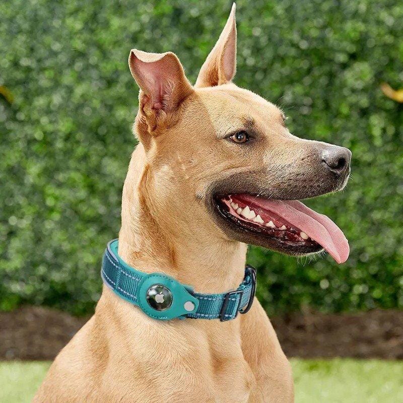 FMW™ - AirTag Hundhalsband - Smart halsband med hållare till Apple AirTag - Dossify