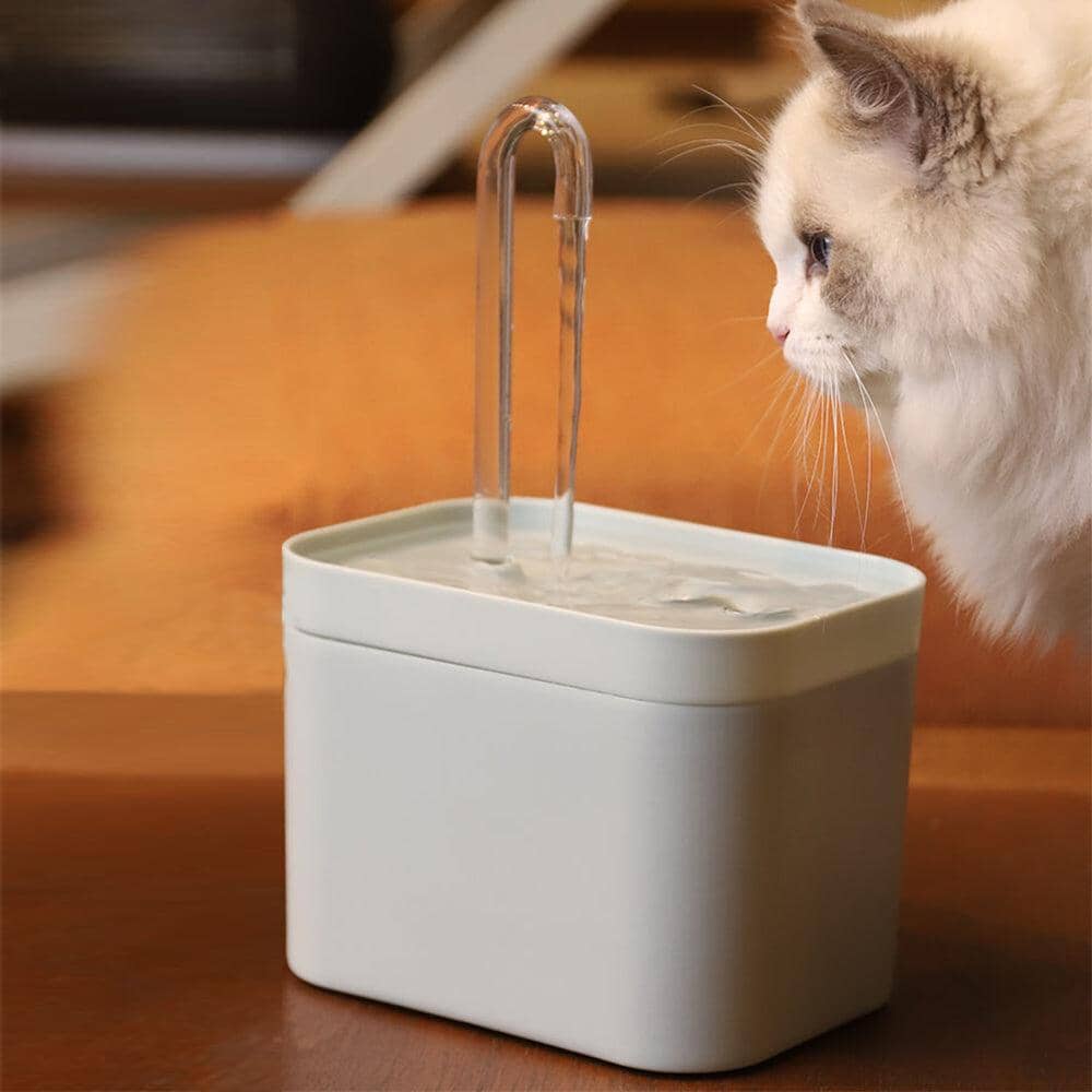 Fresh Water Fountain - Alltid färskt vatten! - Dossify