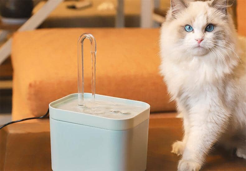 Fresh Water Fountain - Alltid färskt vatten! - Dossify