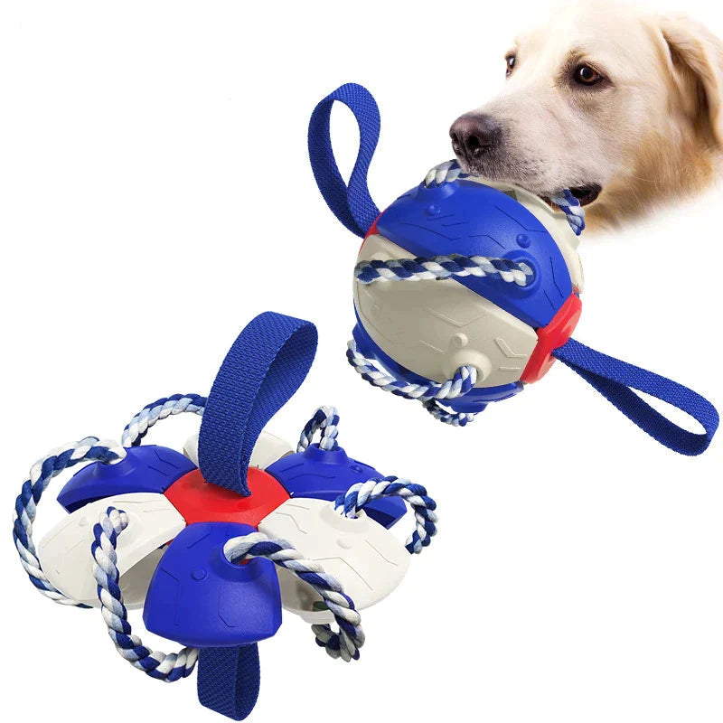 Frisbeeboll - Hundleksak - Dossify