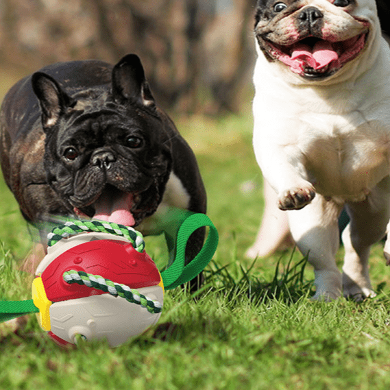 Frisbeeboll - Hundleksak - Dossify