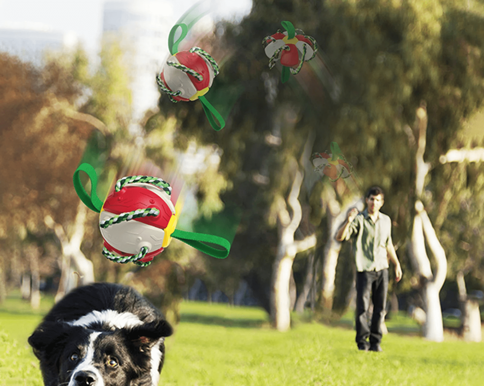 Frisbeeboll - Hundleksak - Dossify