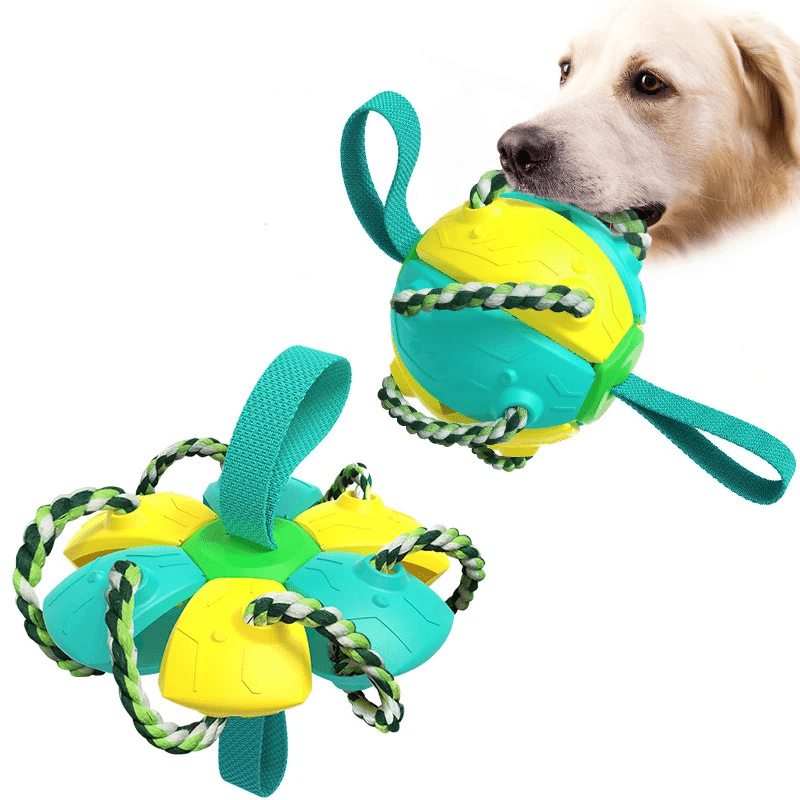Frisbeeboll - Hundleksak - Dossify