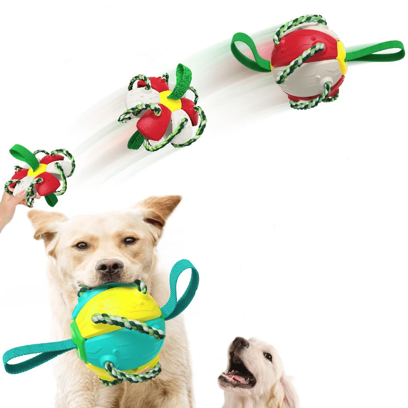 Frisbeeboll - Hundleksak - Dossify