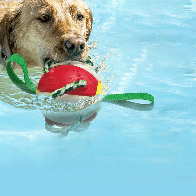 Frisbeeboll - Hundleksak - Dossify