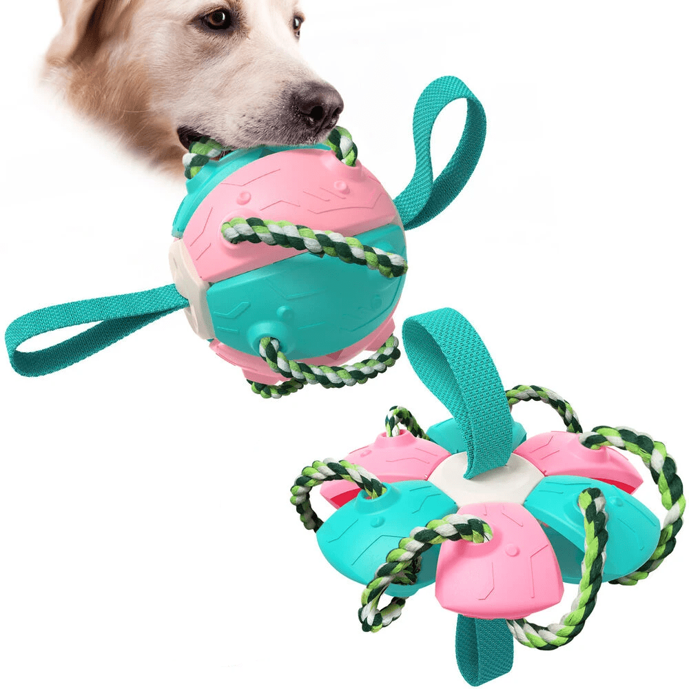 Frisbeeboll - Hundleksak - Dossify