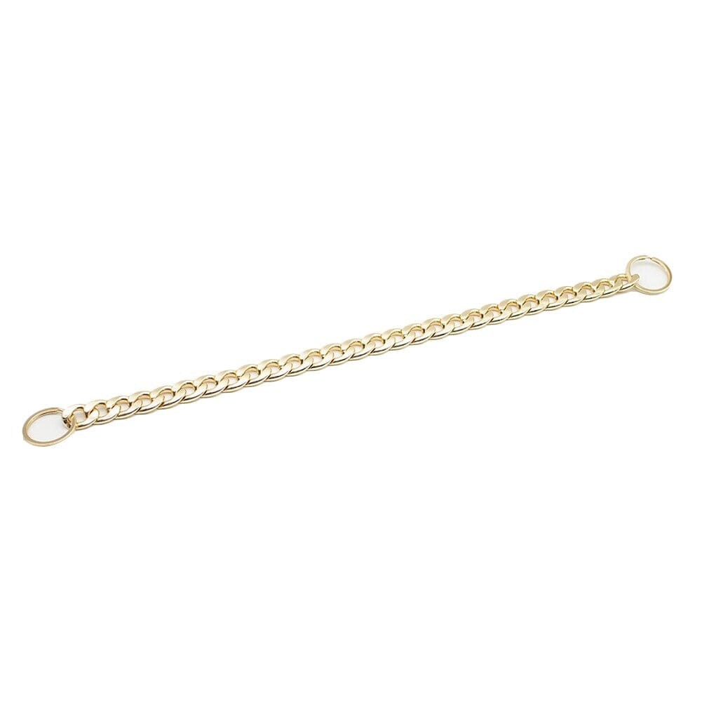 Guldkedja till hund - Dossify