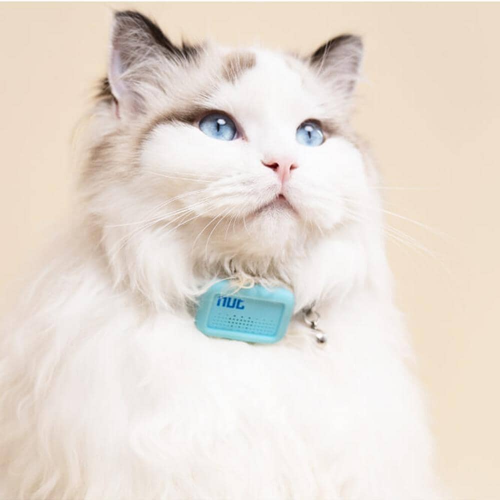 Halsband med inbyggd GPS spårning för husdjur - Dossify