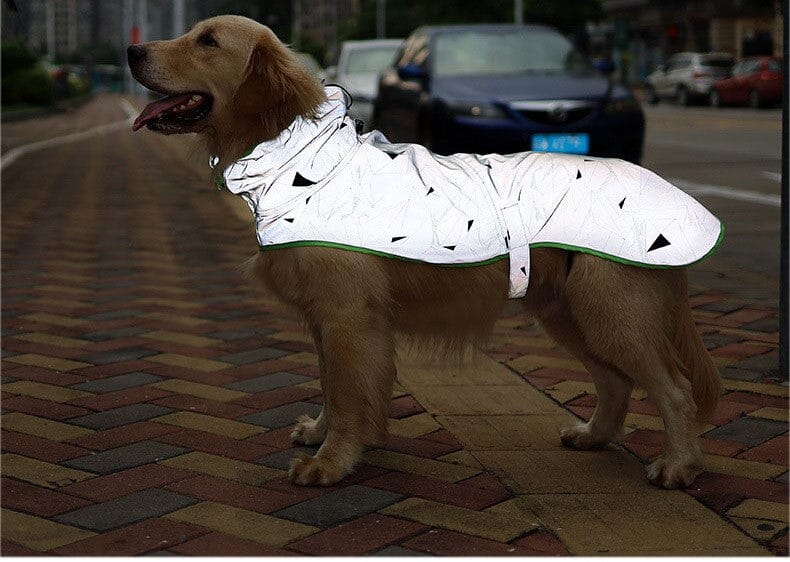 Heltäckande Reflextäckte till Hund - Dossify