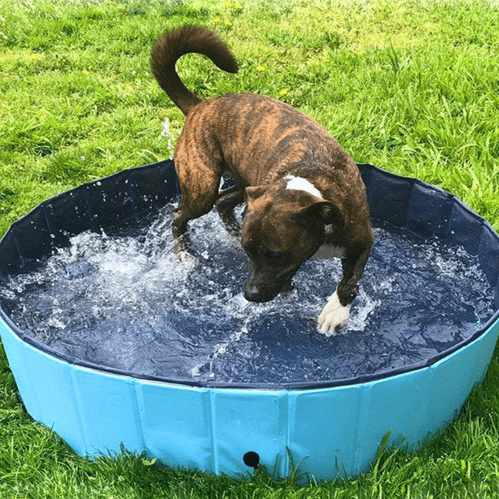 Hundpoolen Vikbar Pop-up pool - Dossify