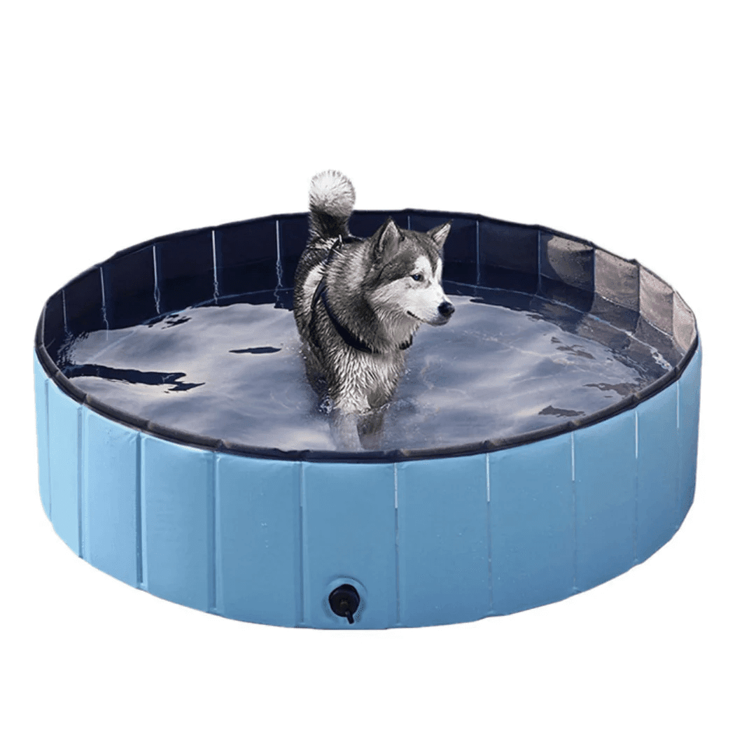 Hundpoolen Vikbar Pop-up pool - Dossify