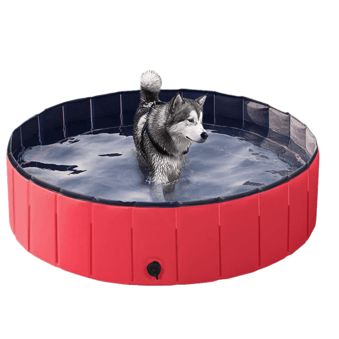 Hundpoolen Vikbar Pop-up pool - Dossify