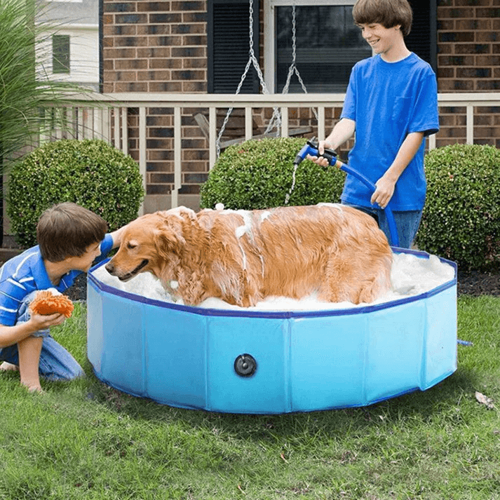 Hundpoolen Vikbar Pop-up pool - Dossify
