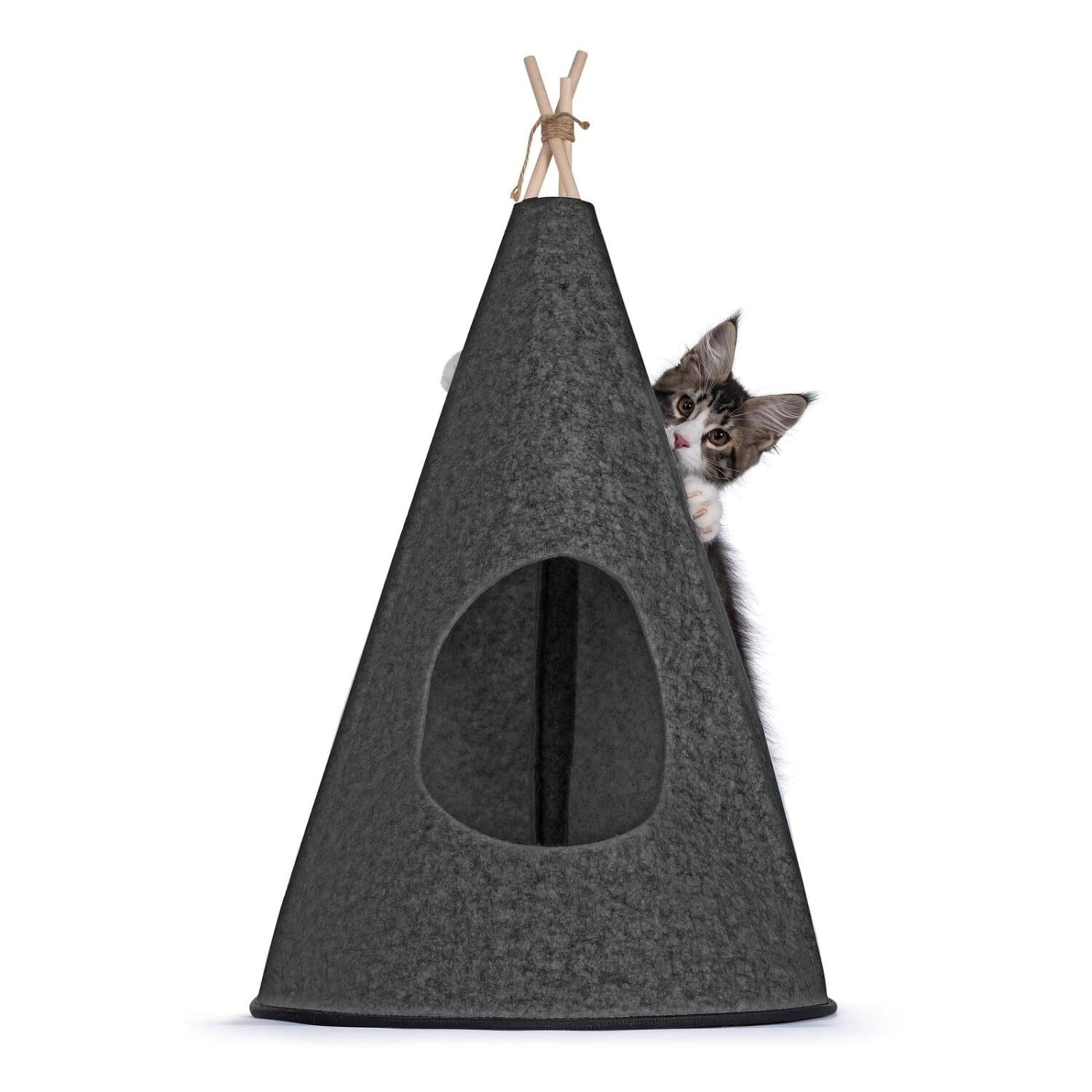 Katt tipitÀlt av filt - Dossify
