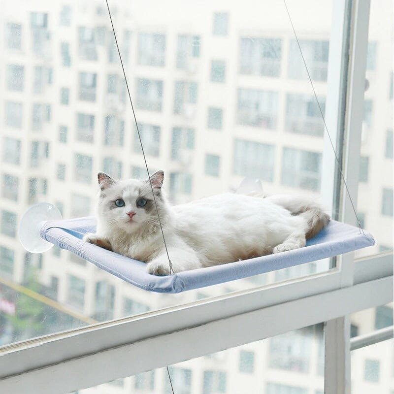 Kattfönstersängen - Dossify