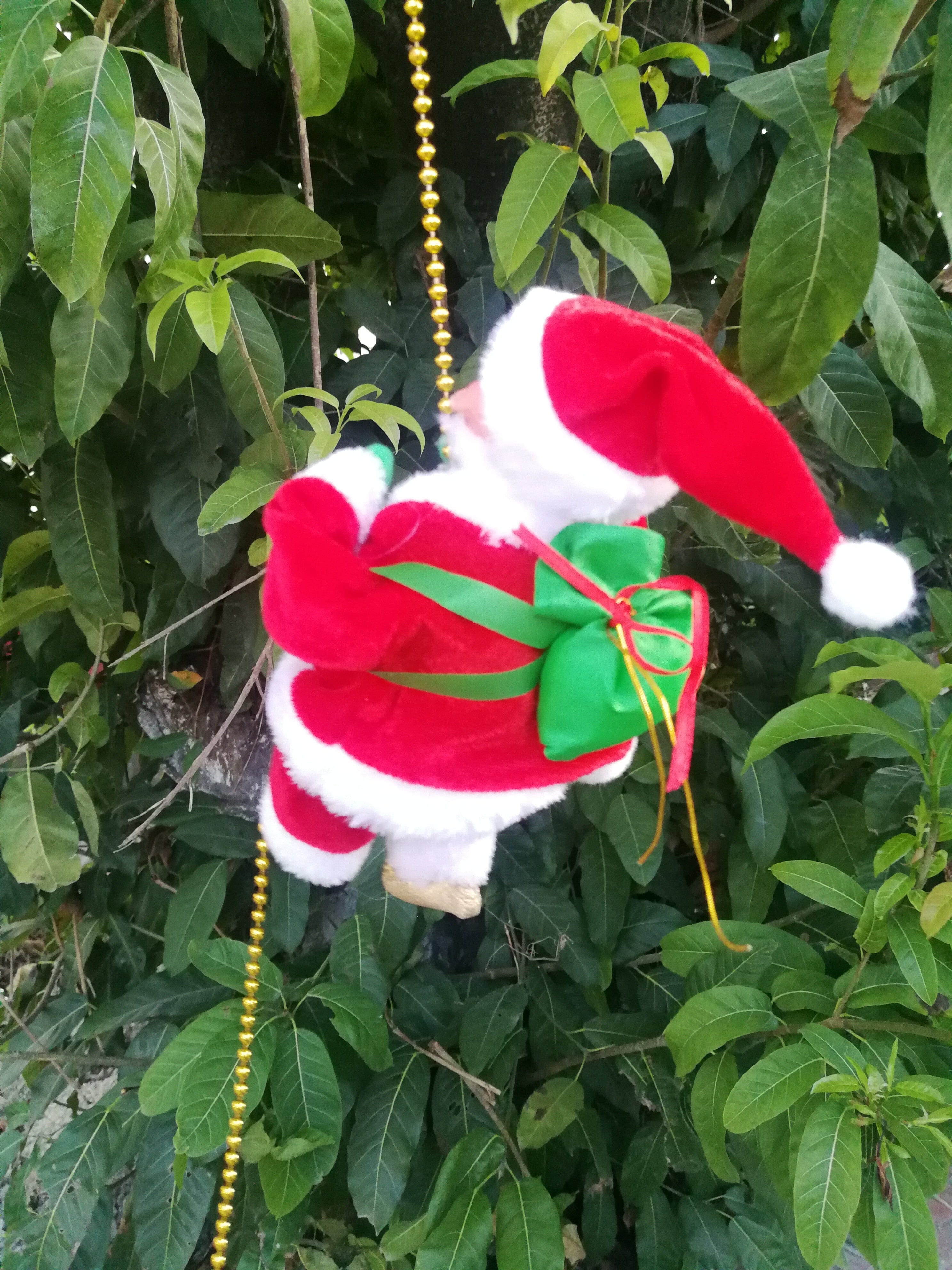 KlÀttrande tomte - Santa - Dossify