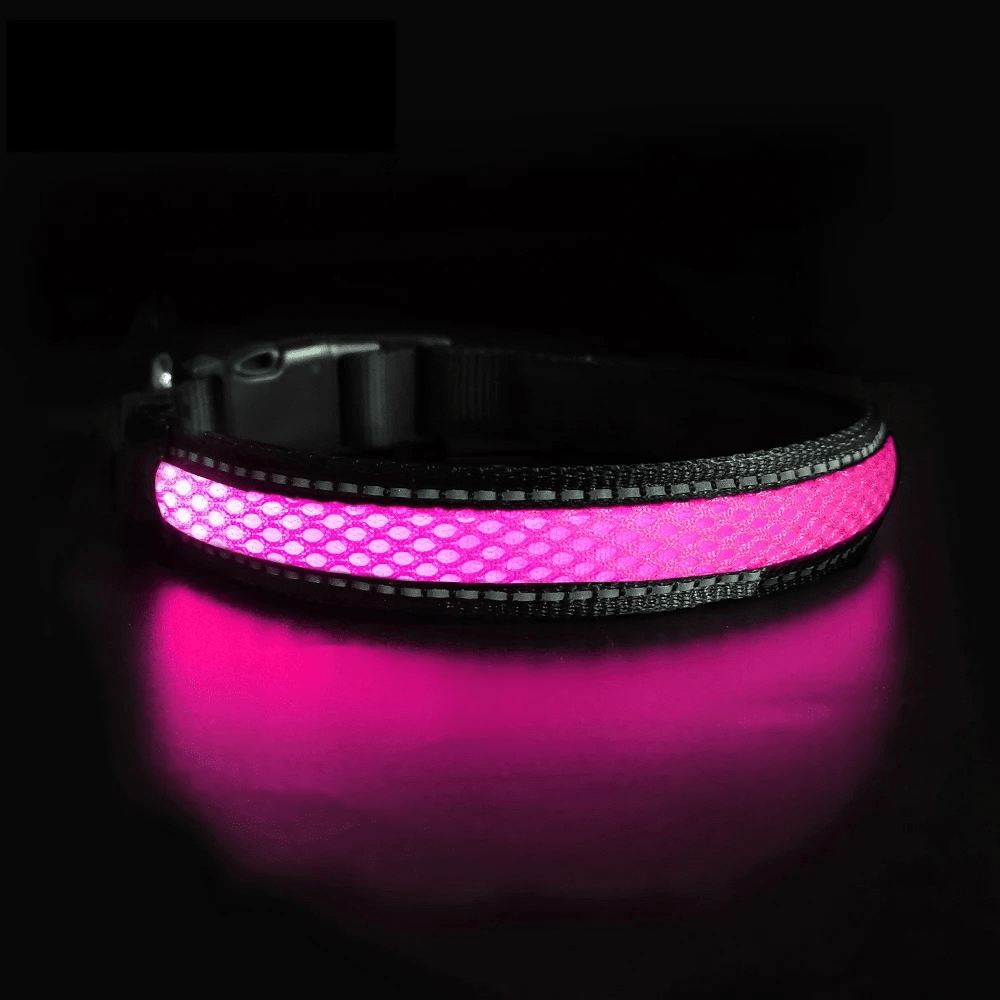 LED-halsbandet -- Säkerhetshalsband med ljus - Dossify