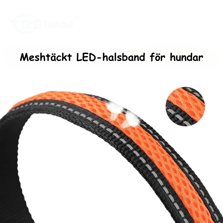 LED-halsbandet -- Säkerhetshalsband med ljus - Dossify