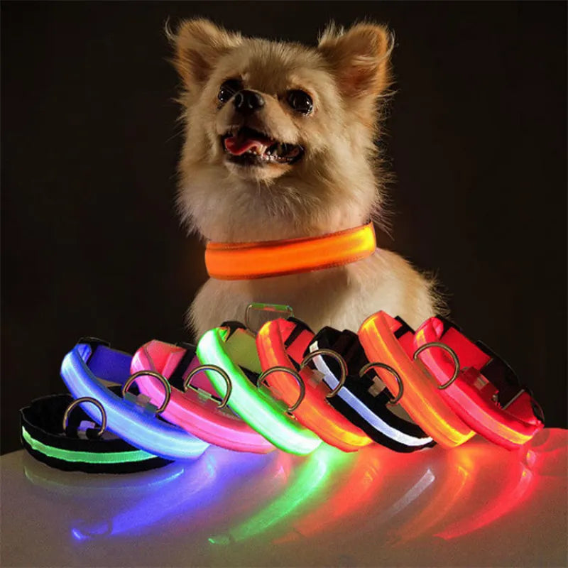 LED Hundhalsband - Dossify