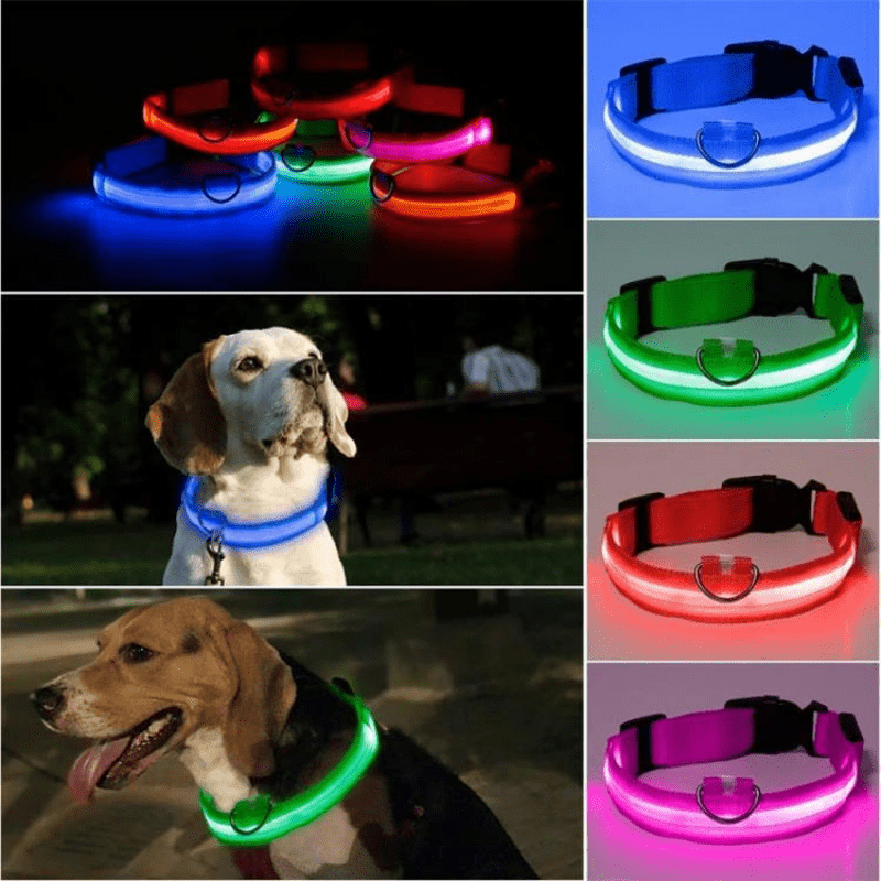 LED Hundhalsband - Dossify