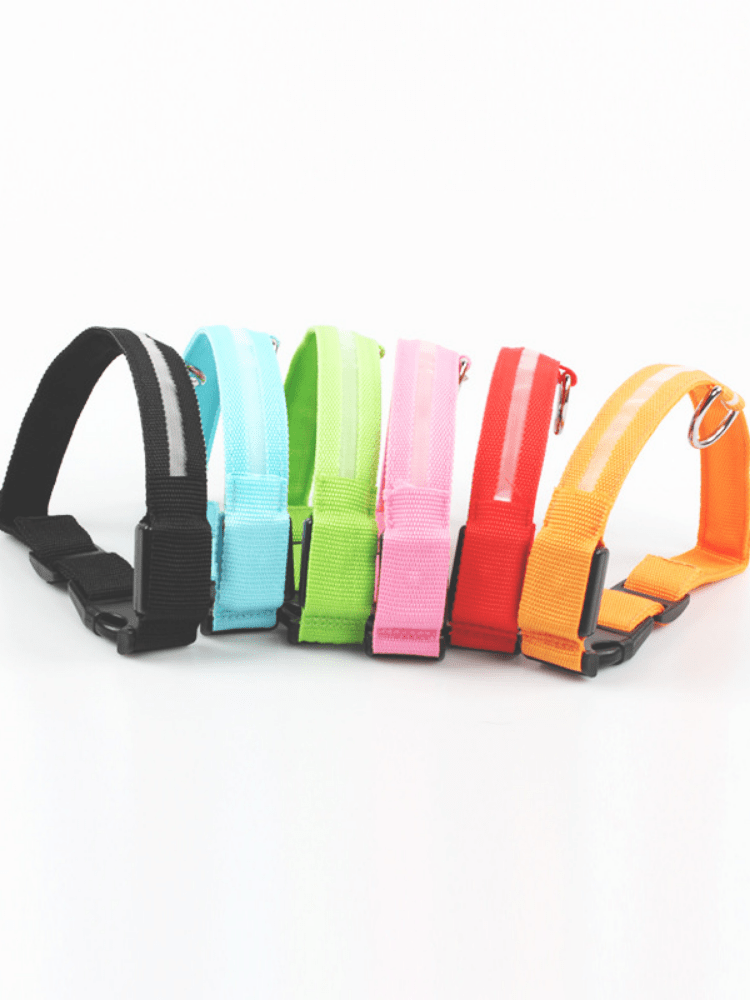 LED Hundhalsband - Dossify