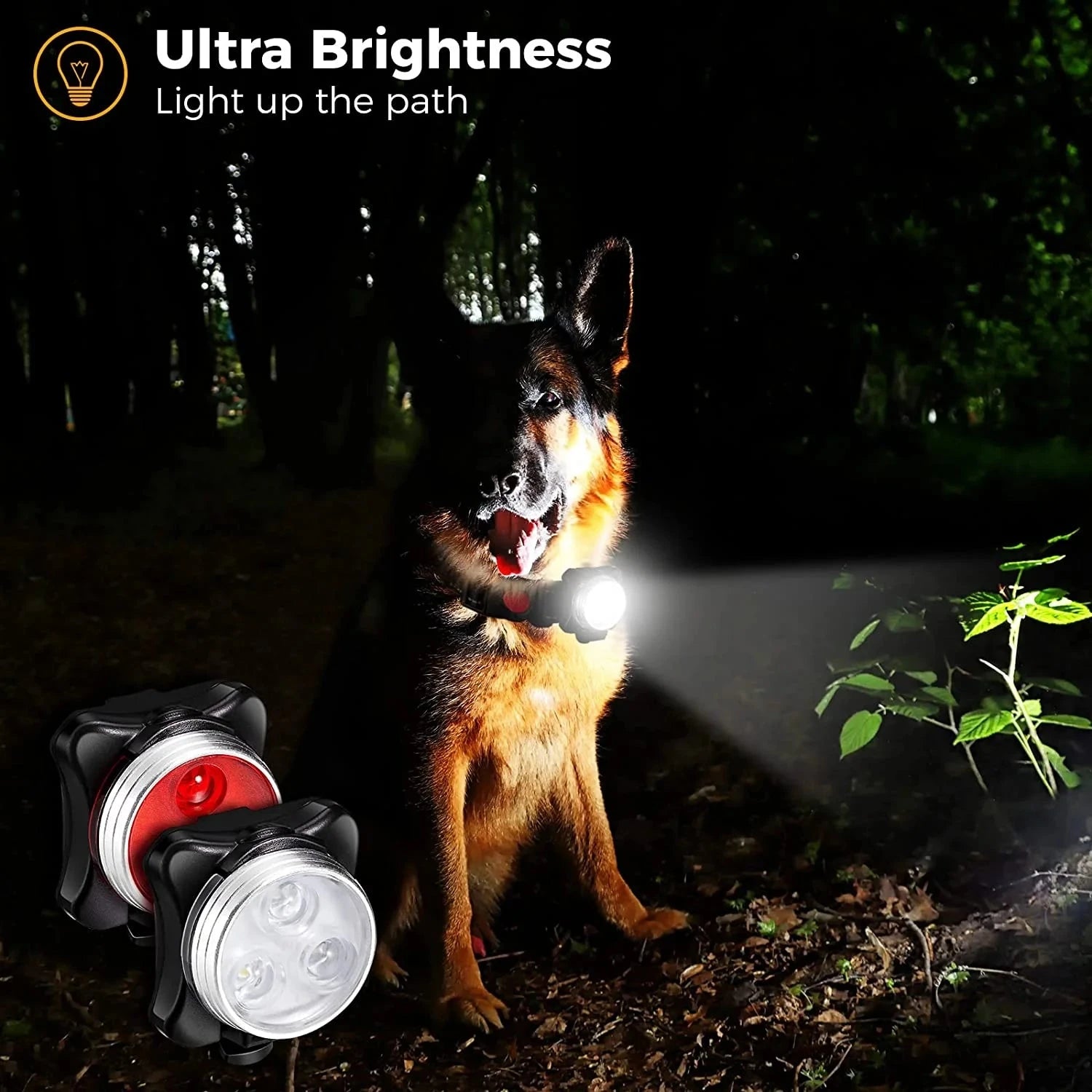 LED Lampa Till Hundhalsband - Dossify