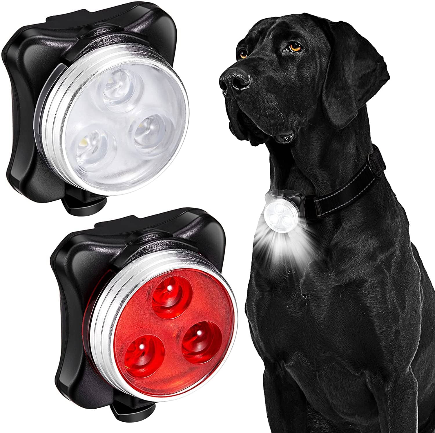 LED Lampa Till Hundhalsband - Dossify