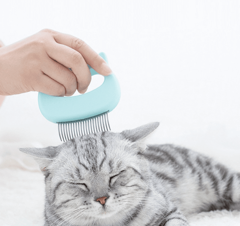 Massagekam för katter - Dossify