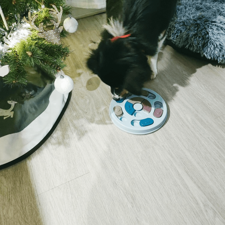 MatPusslet - För Bättre Matsmältning - Dossify