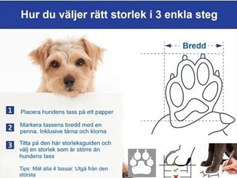 Reflektiva Hundskor - Perfekt till vintern! - Dossify