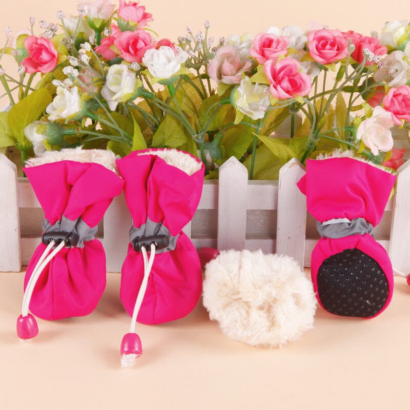 Reflektiva vadderade hundskor (4 skor) - Dossify