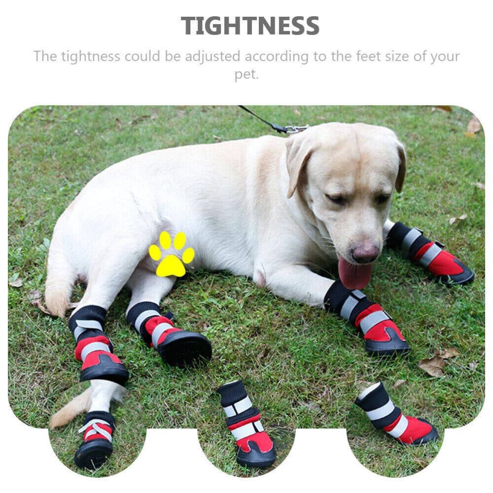 Reflektiva vadderade hundskor för större hundar (4 skor) - Dossify