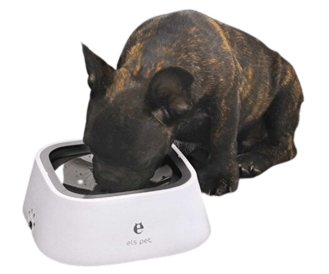 SpillFri™ vattenskål 1.5L - Dossify