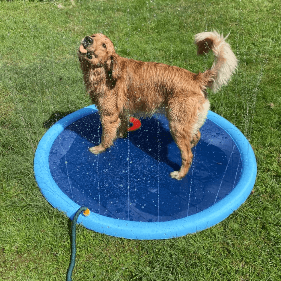 Splashpoolen - Pool med fontÀn - Dossify