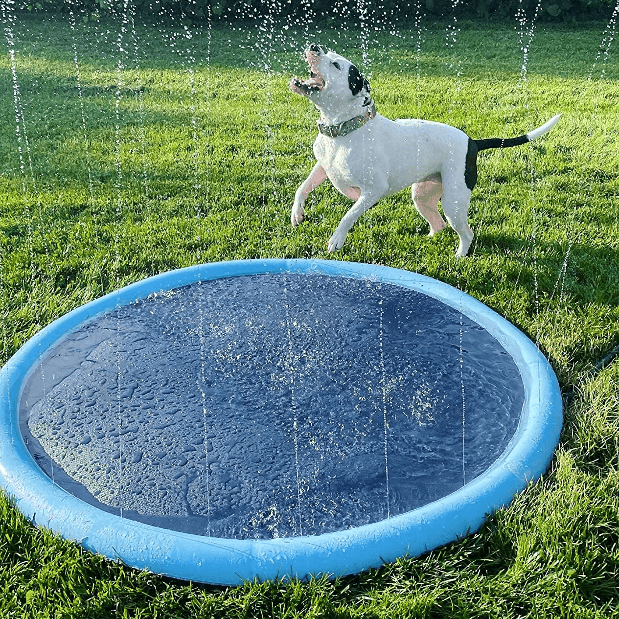 Splashpoolen - Pool med fontÀn - Dossify