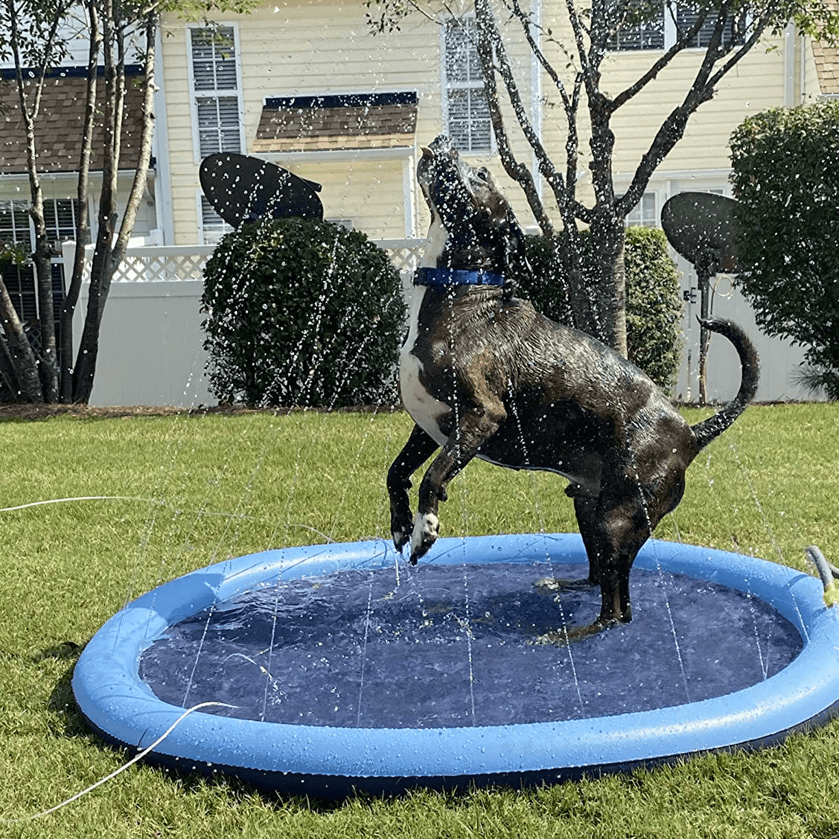 Splashpoolen - Pool med fontÀn - Dossify