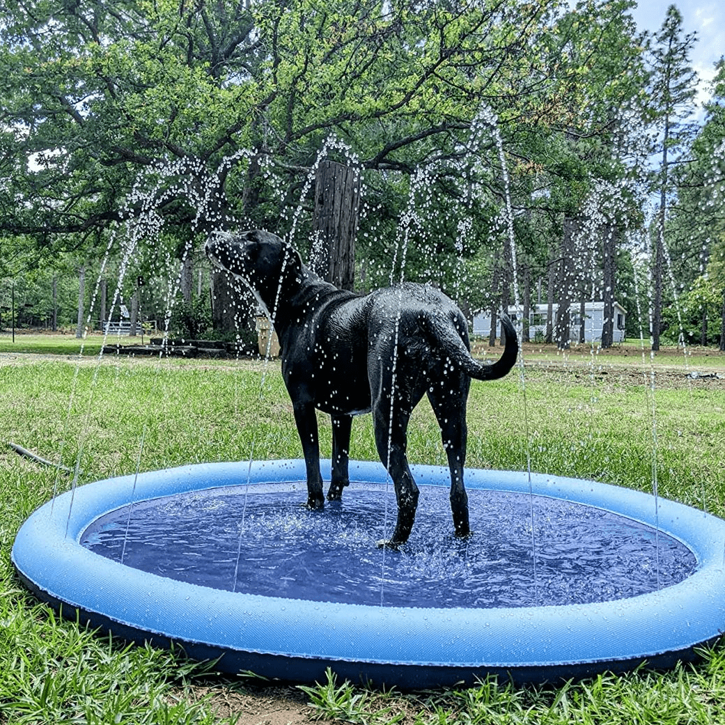 Splashpoolen - Pool med fontÀn - Dossify