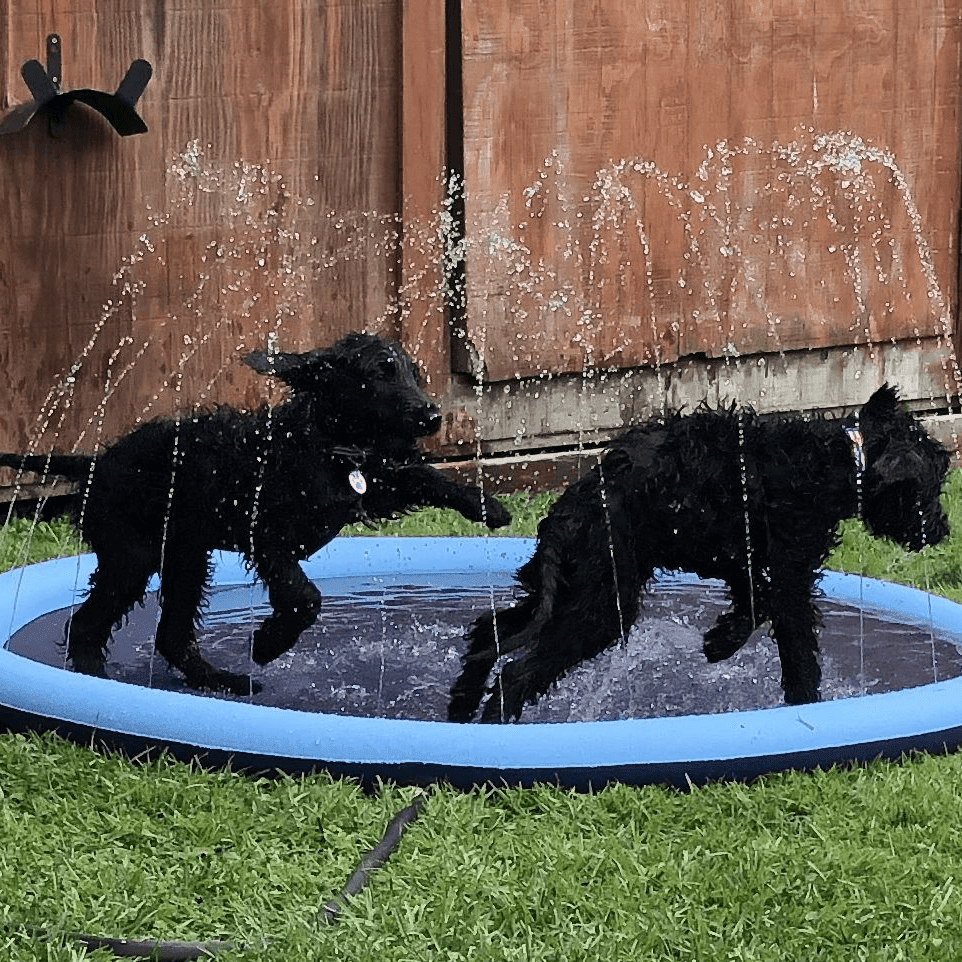 Splashpoolen - Pool med fontÀn - Dossify